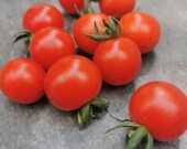 Mini Bell - Cocktailtomate mit viel Aroma