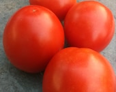 Cherry Romantika - Balkontomate