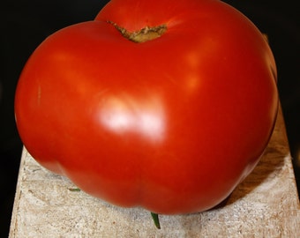 Soldacki Fleischtomate