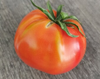 Ruth's Perfect - robuste Fleischtomate