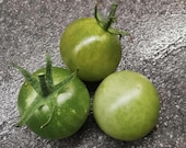 Limetto - grüne Cocktailtomate
