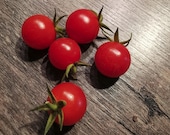 Vorspeise-Tomate - Süßer Genuss