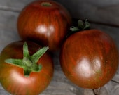 Black Zebra - Tomatensamen