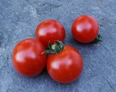 Small-scale red sugars - tomato seeds
