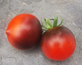 Indigo Apple - schwarz-rote Tomatenschönheit