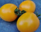 Lämpchen - gelbe Tomate