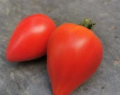 Sonnenherz - herzförmige Fleischtomate