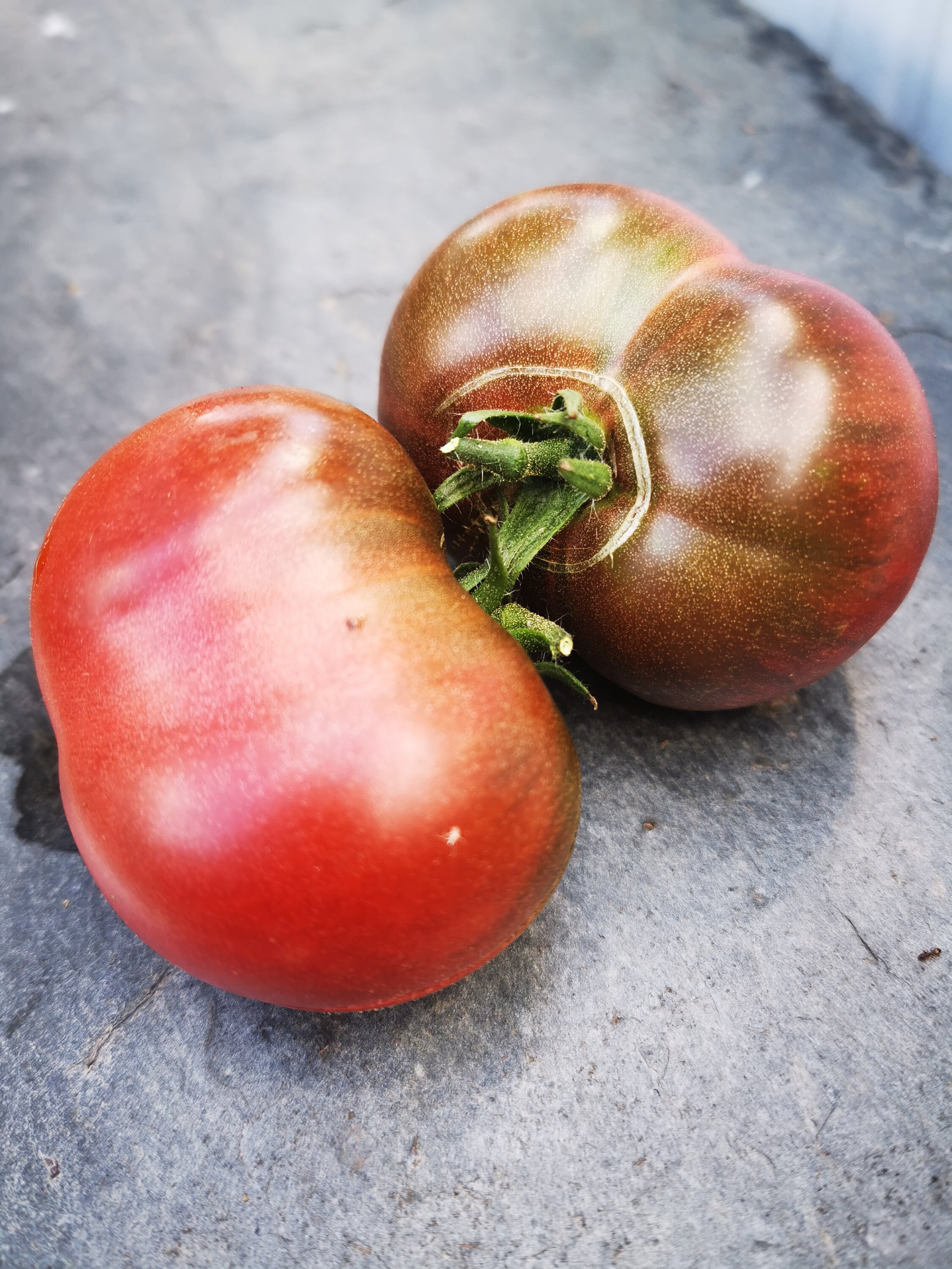 Schwarze von der Krim Black Krim Tomate süßsaftige Etsy.de