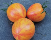 LaLeLi - orange-rote Fleischtomate