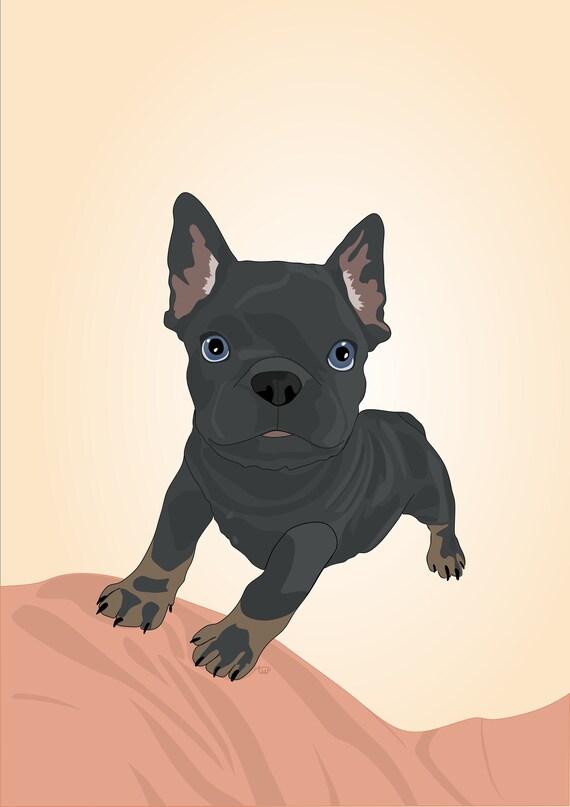 Pet Digital Illustration Vector Pet Portrait Colour Block | Etsy