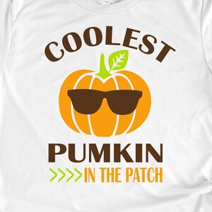 May include: White t-shirt with a graphic of a pumpkin wearing sunglasses and the text "Coolest Pumkin >>> in the patch"