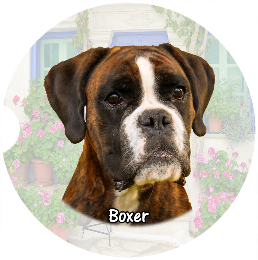 Boxer Sublimation Digital File Sublimation Digital Downloads - Etsy