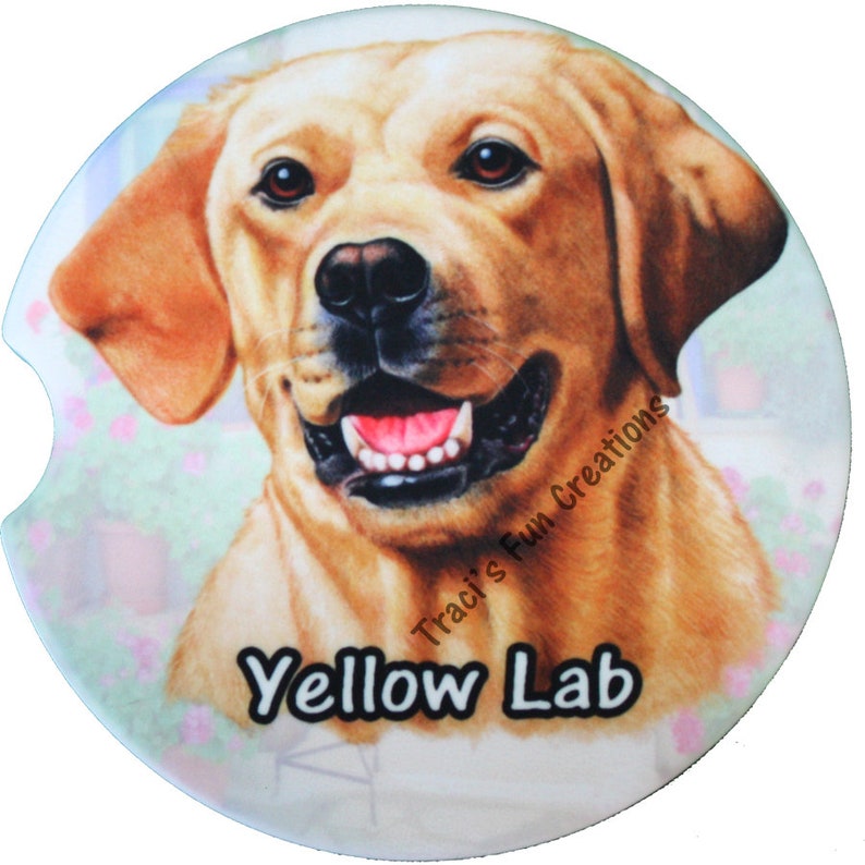 black and yellow lab