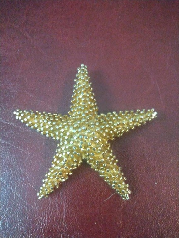 DeNicola starfish brooch - image 4