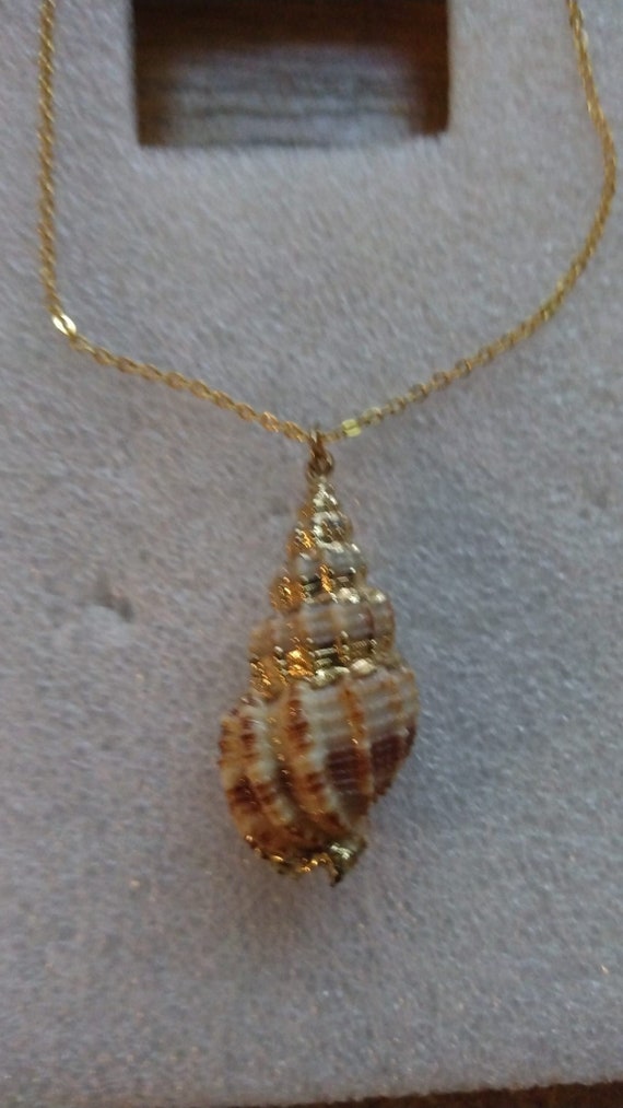 Textured snail seashell pendant necklace