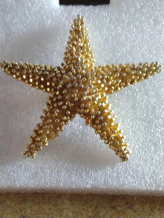 DeNicola starfish brooch - image 1