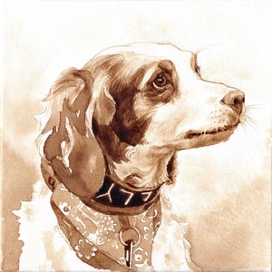 Pet Portrait, commission coffee painting