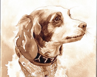 Pet Portrait, commission coffee painting