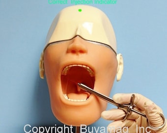 Dental Oral Anesthesia Simulator Practice Manikin Phantom Head Model