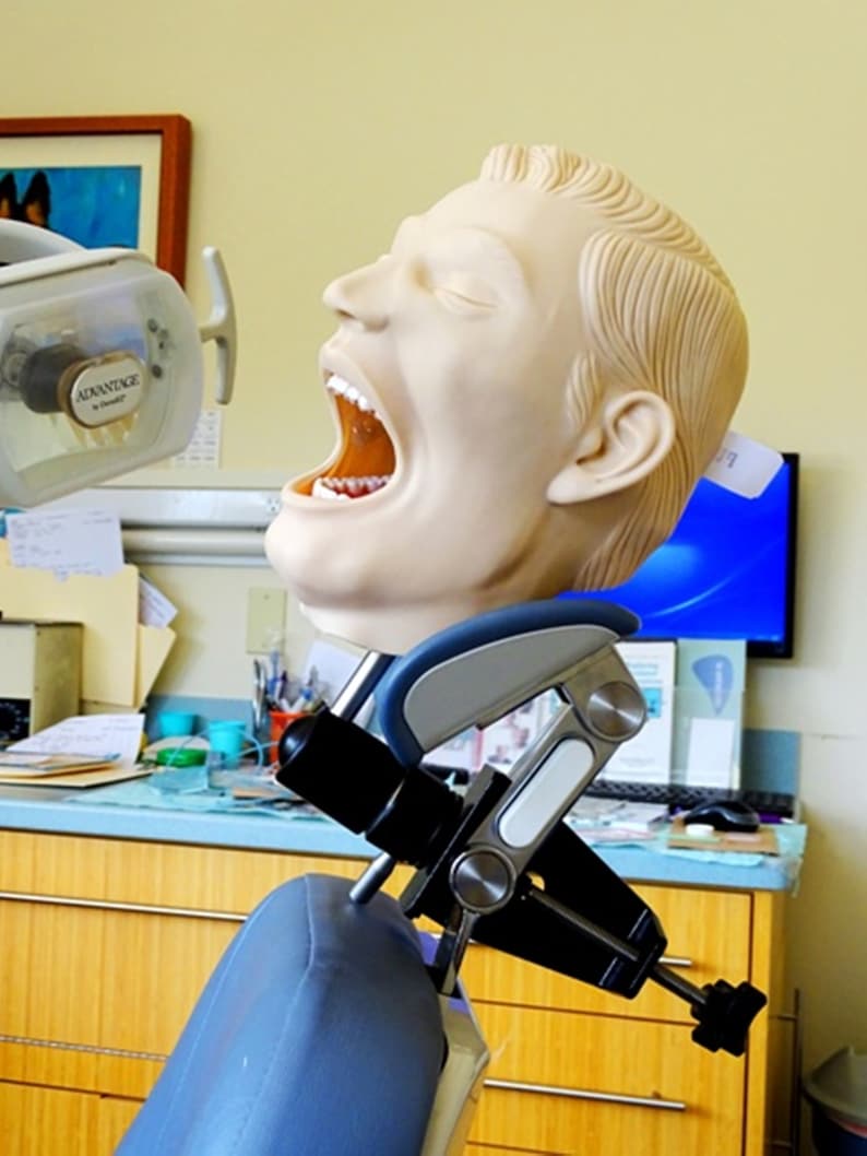 Dental XRay Manikin Practice Simulator Phantom Head Complete Etsy