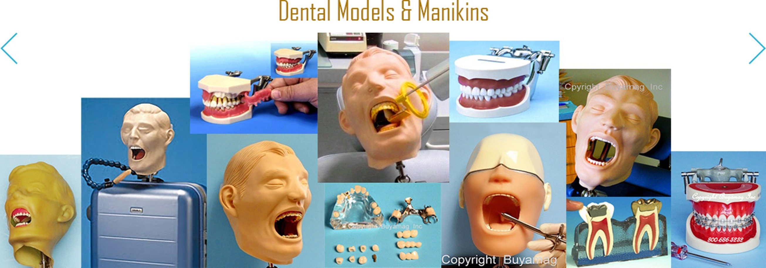 Dental Training Manikin Auxiliary Practice Simulator Used in Dental