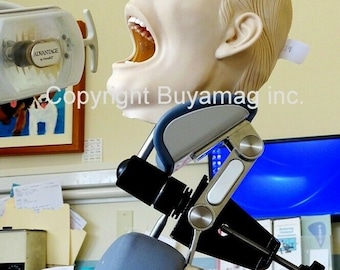 Periodontal Hygiene Practice Mankin Model Training Phantom Head Simulator Complete