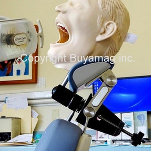 May include: A dental training mannequin with an open mouth, attached to a blue and silver dental chair. The mannequin is positioned in a realistic pose, with its head tilted back and its mouth open wide. The chair is made of metal and has a blue padded seat. The mannequin is used for dental students to practice their skills.