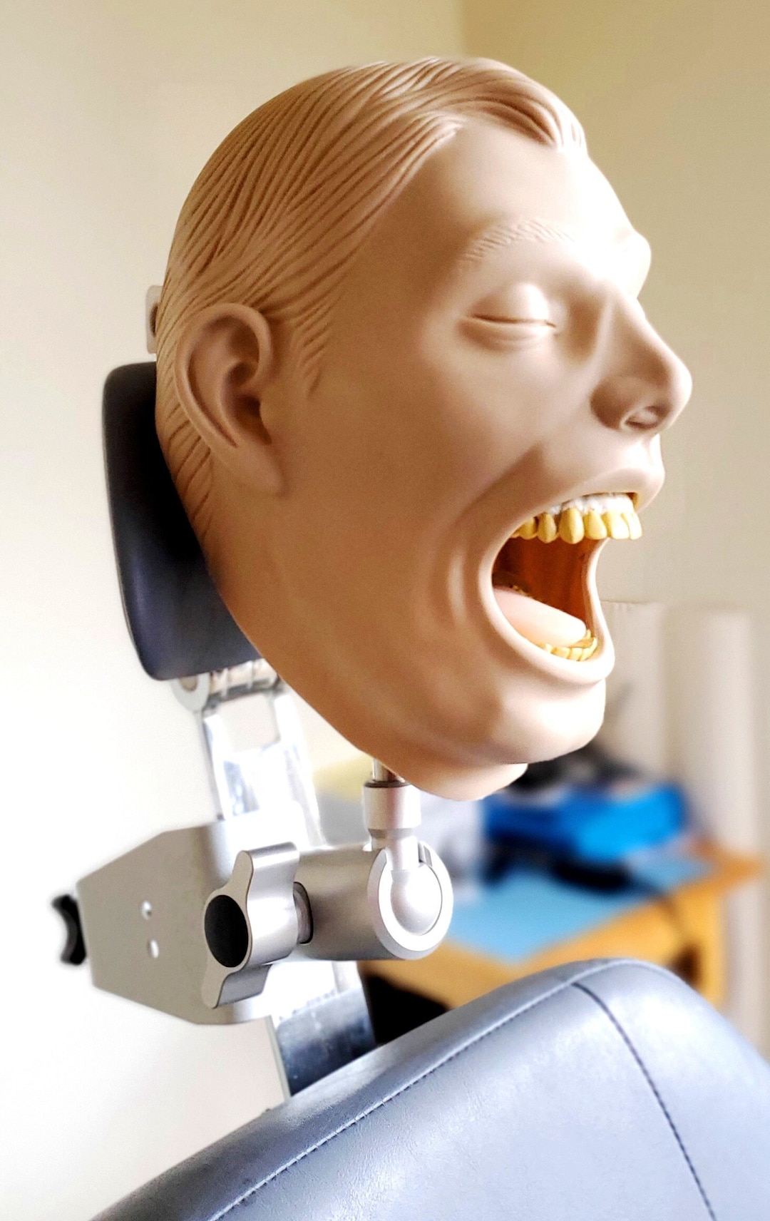 Dental Xray Manikin Practice Simulator Phantom Education Head Complete