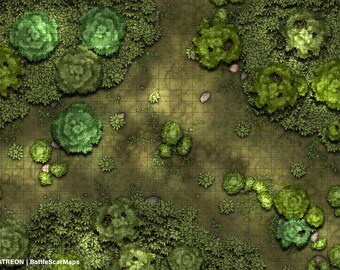 pix Battlemap Dnd Forest Map rpg roleplay mat design digital
