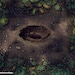 Crater Battle Map, Dnd Battle Map, D&D Battle Map, Battlemap, Dungeons ...