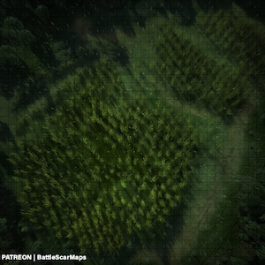 Corn Field Night Battle Map, DnD Battle Map, D&D, Battlemap, Dungeons and Dragons, 5e, Roll20, Fantasy Grounds, Foundry, VTT, Digitale kaart