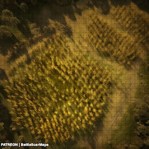 Corn Field Battle Map, DnD Battle Map, D&D, Battlemap, Dungeons and Dragons, 5e, Roll20, Fantasy Grounds, Foundry, VTT, Digitale kaart