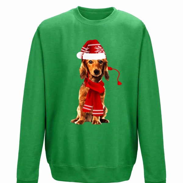 Winter Christmas Dachshund Sweatshirt | Funny Festive Sausage Dog Jumper Gift | Printed In-HOuse | Various Colours Available