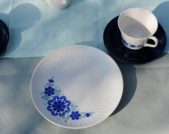 Mitterteich Bavaria dinnerware coffee table 4 cups + 4 plates + 4 saucers porcelain flowers midcentury 60s vintage retro