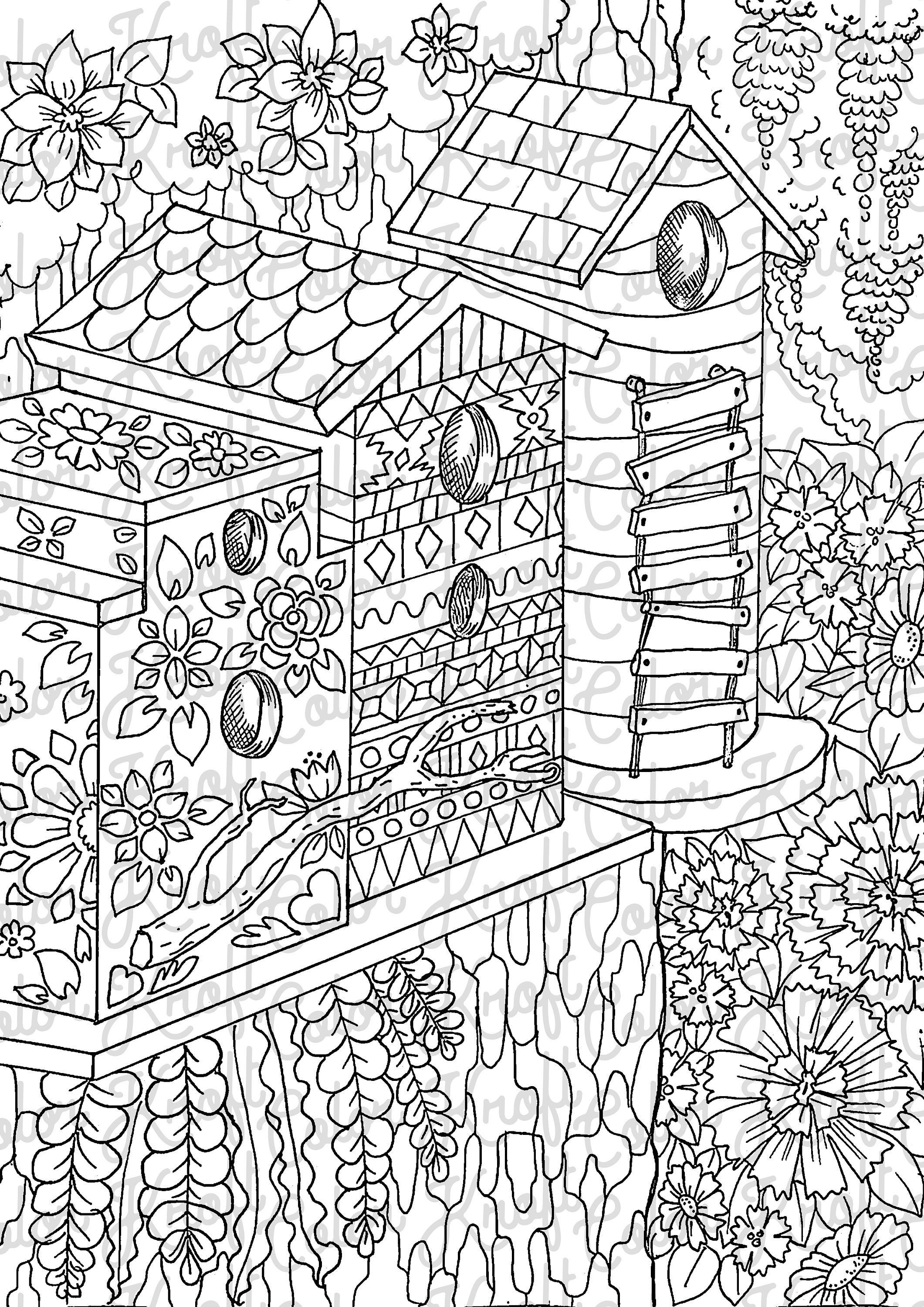 Download Bird Houses in the Country // Coloring Page Printable ...