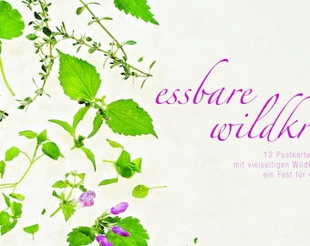 Edible wild herbs 12 postcards as a set, nature, wild herbs, plants, herbs, postcard, card, card set, gift, photo postcard