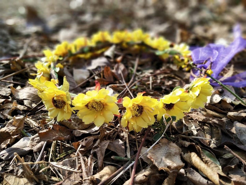 Daisy Flower Crown Flower Girl Headband Flower Hair Etsy