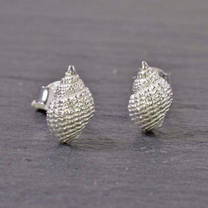 Peut inclure: Une paire de boucles d'oreilles en argent en forme de coquille. Les boucles d'oreilles sont petites et délicates, et présentent un design de coquille détaillé.