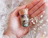 Real Quail Egg in Glass Vial, Farmhouse Decor Woodland Curiosity Oddity Natural History Wild Bird Nest Green Witch Altar Decor Wiccan Gifts