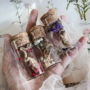 Zombie Fungus in Glass Vial Weird, collectible curiosity Oddity Witchy cicada nymph taken over by a fungus (Cordyceps) Natural History