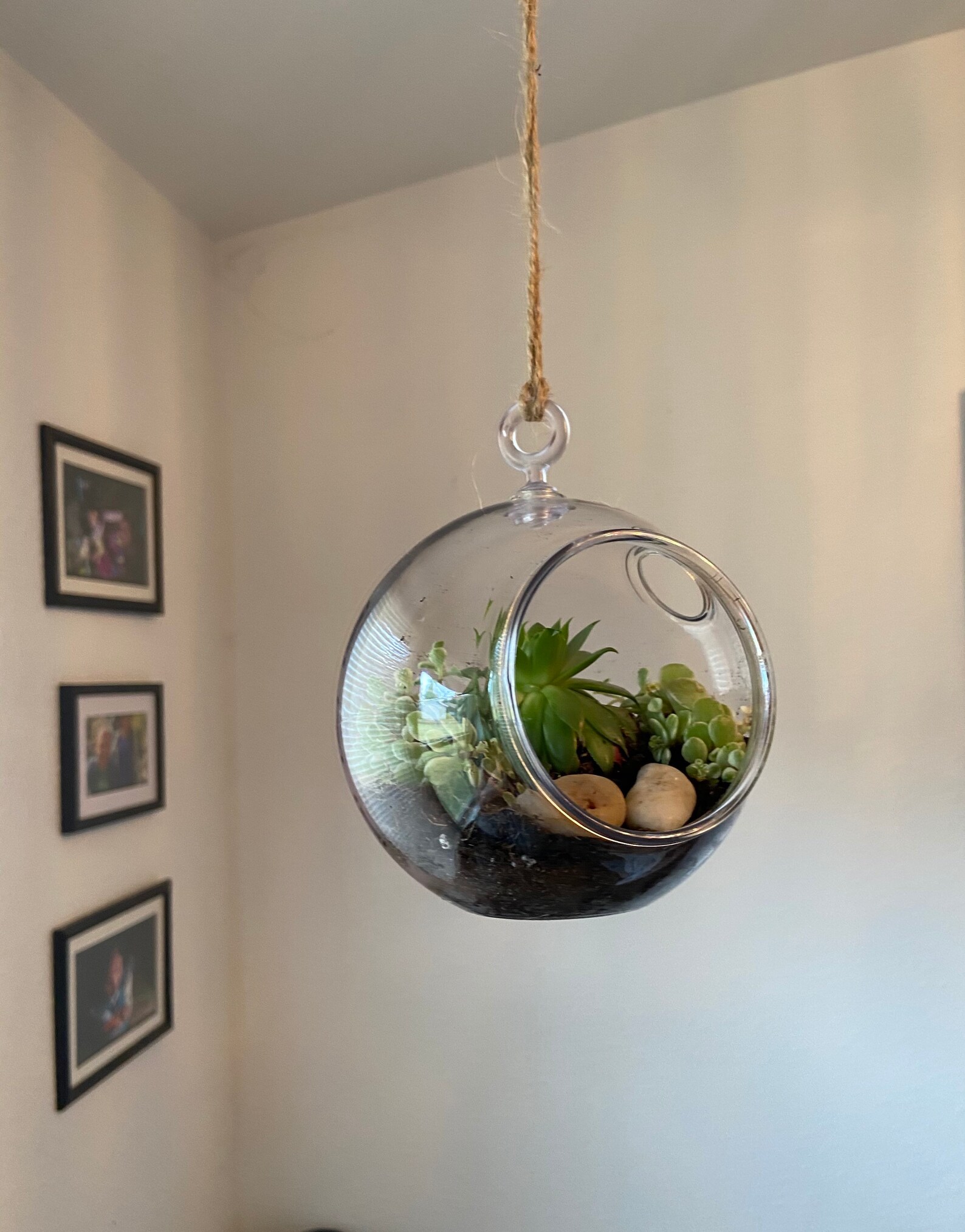 DIY ROUND TERRARIUM Globe Only 5 Small Globe Only Desk or Etsy