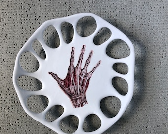 Ceramic Plate with Anatomy illustration