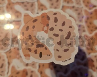 Leopardgecko-klistermärke - Glansigt vattentätt vinylklistermärke - Djur - Reptiler - Herpetologi