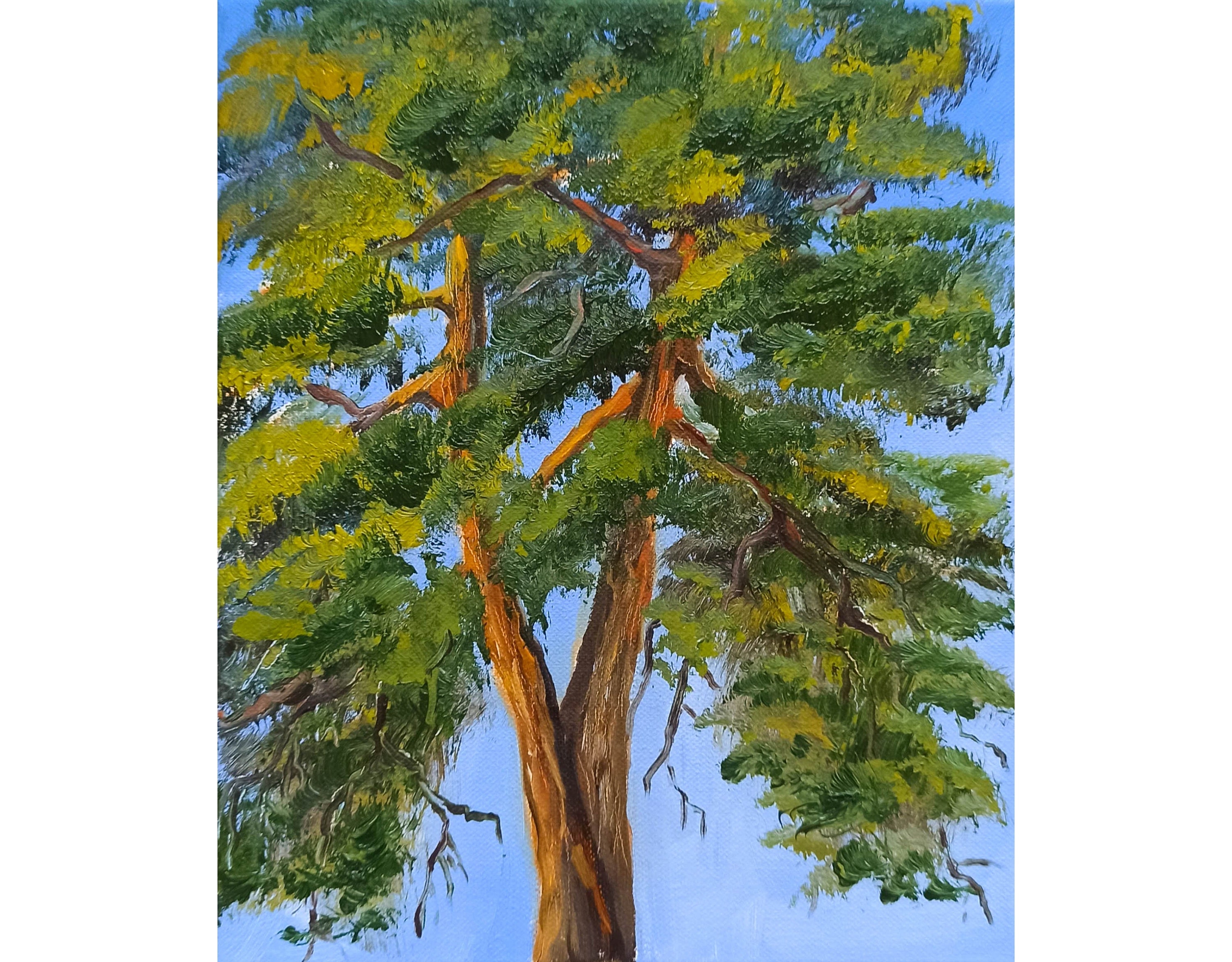 Pine Tree Painting Original Art Tree of Life Painting on | Etsy