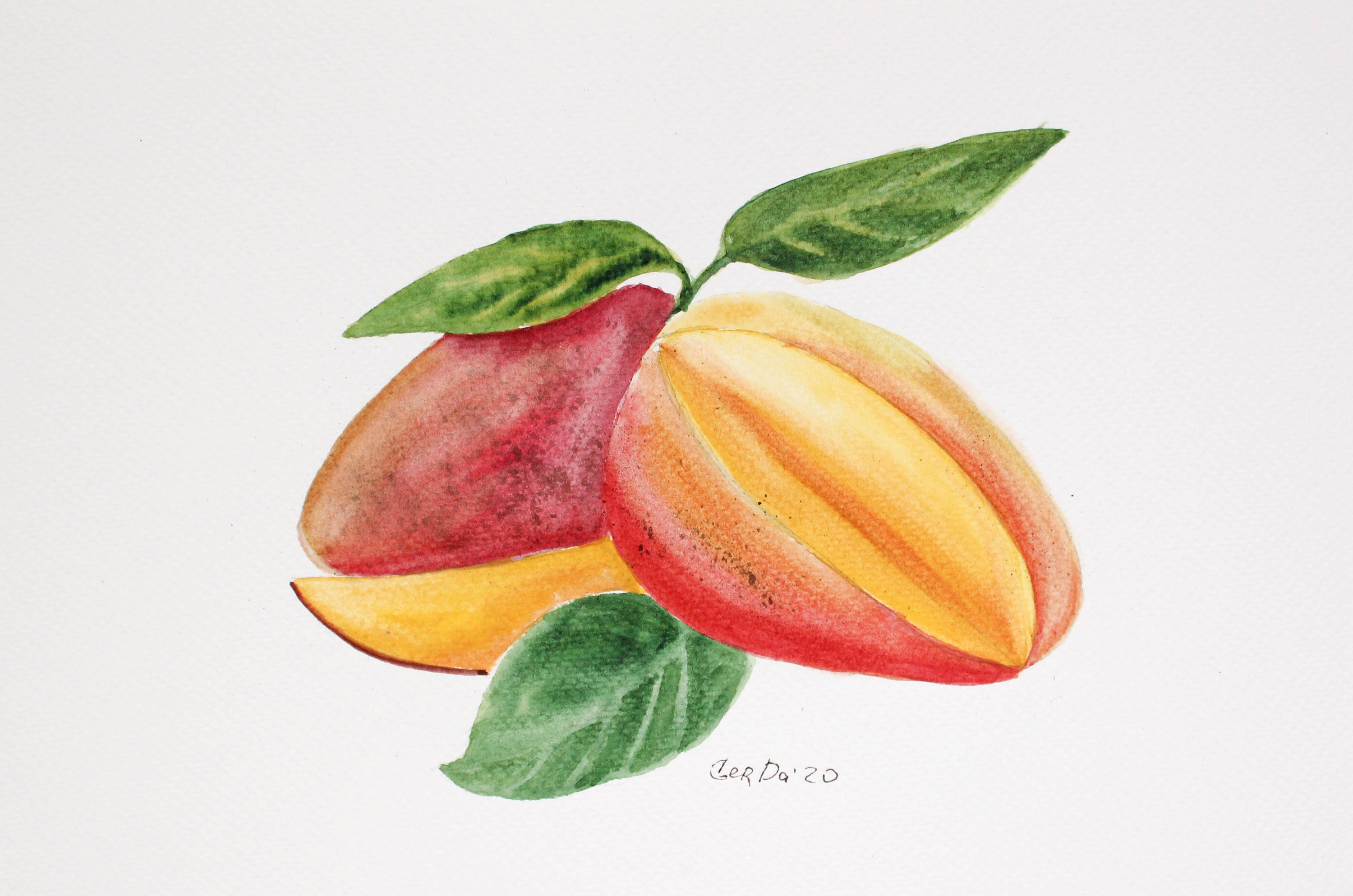 Mango Painting Original Watercolor Fruit Art Watercolor Food | Etsy