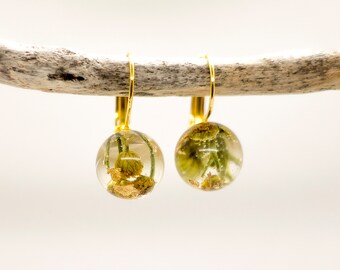 May include: A pair of gold-colored hoop earrings with clear, spherical resin pendants. Each pendant contains a small, dried yellow flower and gold leaf flakes. The earrings are suspended from a light-colored wooden branch against a white background.