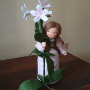 Seifenkraut Blumenkind Jahreszeitentisch