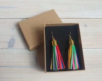 Rainbow Leather Tassel Earrings