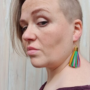 Rainbow Leather Tassel Earrings image 3
