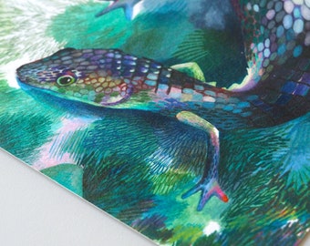 A4 Illustration Poster - Salamander (gouache and coloured pencils)
